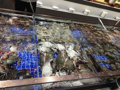 -渔公码头海货全海鲜自助(海滨旅游路店)
