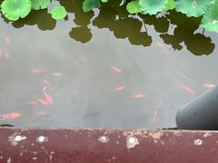 -龙头寺公园