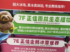 -正佳雨林生态植物园