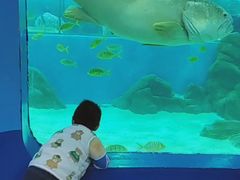 -苏州海洋馆