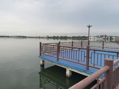 -鹅湖玫瑰文化园