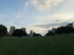-红花山公园