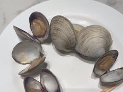 -青蓬蒸汽海鲜·深圳老字号·团建聚会(壹方城店)