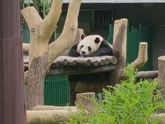 -沈阳森林动物园