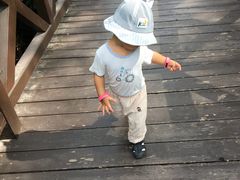 -大亚湾红树林城市湿地公园
