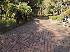 -故乡缘·香格里拉山庄(冷竹路店)