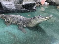 -重庆欢乐海底世界