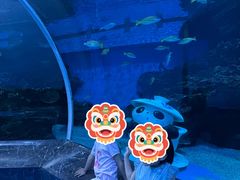 -海合安成都极地海洋公园