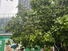 -春家·非遗手工小吃(徐汇万科广场店)