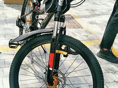 -道路口单车爱瓦士dahon大行