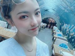 -海棠湾洲际-涛·海底餐厅·美人鱼·自助餐·海底隧道