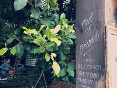 -The Grounds of Alexandria