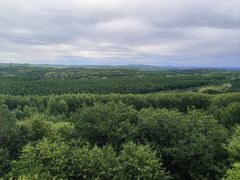 -塞罕坝国家级自然保护区