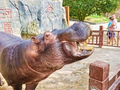 -贵州森林野生动物园