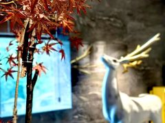 -三谷里·生态水疗空间(五一店)