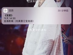 -金逸影城(光美宝龙巨幕店)