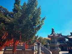 -上海青龙寺