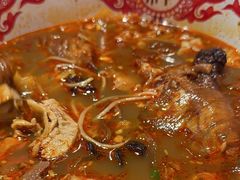 -海椒市落舌·麻辣烫冒菜(中关村店)