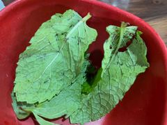 -攀枝花·任德琼·盐边羊肉米线
