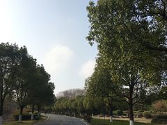 -南京市江宁方山