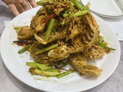 -小海丁