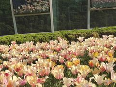 -石家庄市植物园