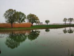 -太湖湖滨国家湿地公园-停车场