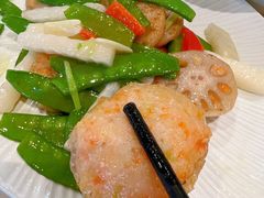 -丁老爷子苏香圆