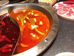 -大龙燚火锅(春熙店)