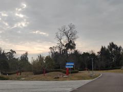 -漩门湾国家湿地公园