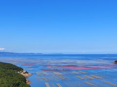 -花竹村