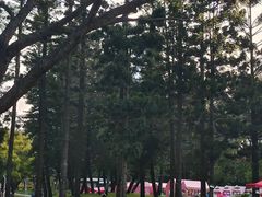 -人民公园(罗湖区)