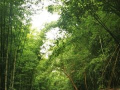 -四洞沟景区