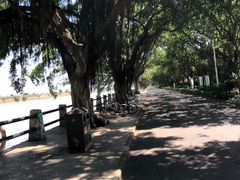 -大湾区中央湿地公园