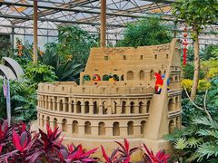 -南宫五洲植物乐园