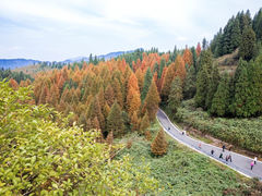 -山王坪喀斯特国家生态公园