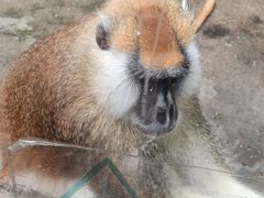 -泉州海丝野生动物世界