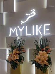 -深圳美莱医疗美容医院