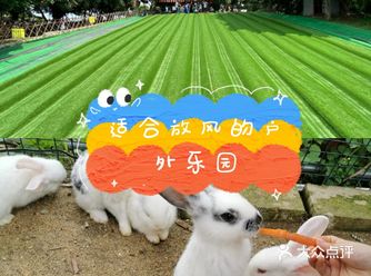 夏日遛娃圣地不知道怎么选