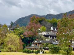 -塔川景区