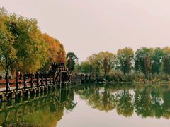 -长兴太湖图影湿地文化园