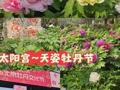 -太阳宫公园