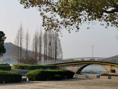 -上海月湖雕塑公园