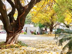 -星海音乐学院(沙河校区)