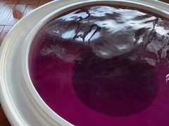 -春晖园度假酒店温泉