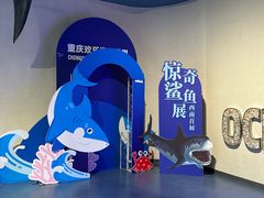 -重庆欢乐海底世界