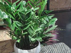 -黔蘑菇四季餐厅(观山湖店)