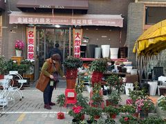 -中环花鸟鱼虫市场