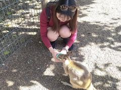 -费瑟代尔野生动物园