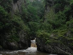 -茅兰沟国家森林公园